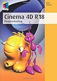 Cinema 4D R18: Praxiseinstieg (mitp Professional)