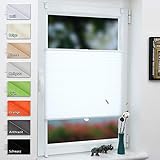 Grandekor Plissee Klemmfix Jalousie ohne Bohren 60x80cm (BxH) Weiß, Faltrollo Plisseerollo Klemmrollo für Fenster & Tür, Fensterrollo Blickdicht Sichtschutz S