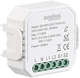 Luminea Home Control LED Dimmer: WLAN-Unterputz-2-Kanal-Lichtschalter & -Dimmer, App, Sprachsteuerung (Smart Dimmer)