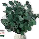 Eukalyptus getrocknet echt Trockenblumen Eucalyptus trocken I Tischdeko I Dekozweige für Trockenblumenstrauß I echte Dekoblumen I getrocknete Blumen I Eukalyptus Deko I dunkelgrüne Dry Flow
