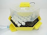 Campo24® C4+ VOLLAUTOMATISCHER MOTORBRÜTER bis 41 Eier Incubator/Inkubator/Brüter/Brutmaschine/Brutg