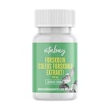 Vitabay Forskolin 400 mg • 90 vegane Kapseln • Natürliches Coleus Forskohlii Extrakt • Hochdosiert • 100% pflanzlich • Natürlich und organisch • Made in Germany