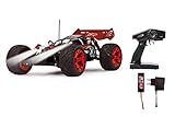 Jamara 53275 Splinter Desertbuggy BL 4WD Lipo 2,4G LED - Allrad, Brushless, Akku, 65Kmh, Aluchassis, spritzwasserfest, Öldruckstoßdämpfer, Kugellager, Fahrwerk einstellbar, fahrfertig