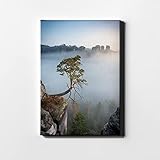 DesFoli Dschungel Felsen Wald Nebel Leinwand LH0982 Größe 100 cm x 150