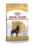 Royal Canin rottweiler, 1er Pack (1 x 12 kg)