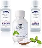 Florage 2x 100ml Saunaaufguss Saunaduft Konzentrat Duftöl - SAUNA-GOLD & EUKALYPTUS + 50g Mentholk