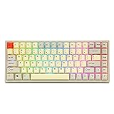 EPOMAKER EP84 84 Tasten RGB Hotswap Wired Mechanical Gaming Tastatur mit PBT Dye-Subbed Keycaps für Mac/Win/Gamer (Gateron Blue Switch, Vintage Grey White)