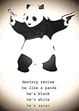 Destroy Racism Panda - Banksy Poster Kleinformat Plakat 39,5 x 55