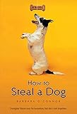 How to Steal a Dog: A Novel (English Edition)