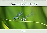 Sommer am Teich (Wandkalender 2022 DIN A3 quer)