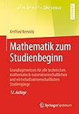 Mathematik zum Studienbeginn: Grundlagenwissen für alle technischen, mathematisch-naturwissenschaftlichen und wirtschaftswissenschaftlichen Studiengäng