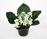 Kalanchoe 12cm weiß im Topf JA Kunstblumen künstliche Blumen Pflanzen Kunstp
