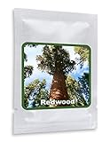 Mammutbaum/Riesenmammutbaum 25 SAMEN - Redwood - W