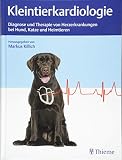 Kleintierkardiologie: Diagnose und Therapie von Herzerkrankungen bei Hund, Katze und H