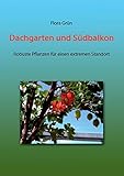 Dachgarten und Südbalkon: Robuste Pflanzen für einen extremen S