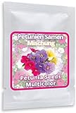 Petunie Samen ca. 250 Stück - vielblumige Mischung Petunien Blumen für Balkon und G