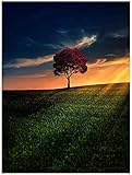 Leinwand Malerei Grünland Roter Baum Landschaft Poster und Drucke Kunst Wandbilder Moderne Wanddekor Kunstwerk (16”x24”(40x60cm)Rahmenlos)