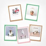 PICKMOTION Geburtstag - Hunde | 5er Set Klappkarten | Grußkarten - inkl. Umschlag, Bilder von Instagram Fotografen designed in Berlin - Geburtstagskarten BKK-0149-EN