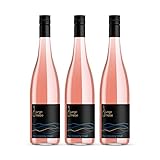 junge triebe | the breezy rosé | Rosé trocken, Rheinhessen, Gutswein, vegan | 3x 0.75