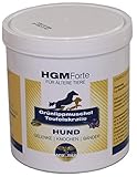 Gelenk Tabletten extra für ältere kleine Hunde (bis 15 KG) / Teufelskralle+Grünlippmuschel-Mix / 100 Stück/deutsches Produkt/empfohlen von Dr. med. Vet. Knoop/Alternative zu synthetischen M