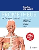 PROMETHEUS LernPoster der Anatomie, Knochen und Musk