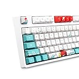 MOLGRIA Keycaps Mechanische Tastatur Keycap 110 Set, PBT OEM Profil Keyboard Keycap mit Keycap Puller für Cherry MX 104/87/61 60% Keyboard Keycaps Ersatz (Coral Sea)