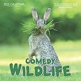Comedy Wildlife 2022 Calendar: From January 2022 to December 2022 - Square Mini Calendar 8.5x8.5' - Small Gorgeous Non-Glossy Pap