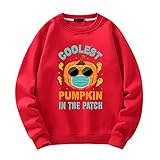 Pullover Herren Herbst Winter Universität Jugend Longsleeve Männer Sweatshirt Urban Trend Mode Lose Rundhals Kürbis Druck Halloween Party All-Match Paar Outfit K-Orange S