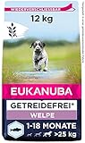 Eukanuba Welpenfutter getreidefrei mit Fisch für große Rassen - Trockenfutter ohne Getreide für Junior Hunde, 12 kg