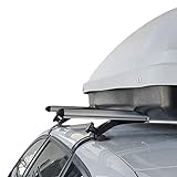 accessorypart Dachträger für Citroen C2 2003-2009 Gepackträger Relingträger Aluminium Grau mit Reg