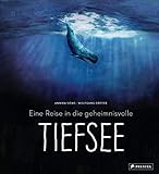Eine Reise in die geheimnisvolle T