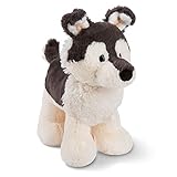 NICI 45731 Kuscheltier Hund Husky Swante 25 cm, stehend – Das süße Hunde Plüschtier für Jungen, Mädchen, Babys und Kuscheltierliebhab