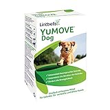 Lintbells | YuMOVE ausgewachsener Hund | Hüft- und Gelenkergänzung für steife ausgewachsene Hunde, mit Glucosamin, Chondroitin, Grünlippmuschel | 6 bis 8 Jahre | 60 Tab
