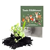 10x 'Waldtiere' Samenbomben als Mitgebsel zum Kindergeburtstag / Geschenk / Seedbombs / Blumen / Partytüten / Mitgebseltüten / Geschenktüten / Give-aways / Geburtstag / Kinder / Saatkug