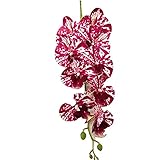 ENISHCHY EIN Latex Schmetterling Orchidee Blumen 9 Köpfe echte Berührung Gute Qualität Künstliche Phalaenopsis Orchidee 40' Für Haus Blumendekoration (Color : 1)