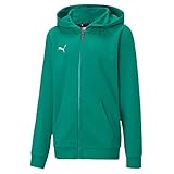 PUMA Unisex Kinder, teamGOAL 23 Casuals Hooded Jacket Jr Kapuzenjacke, Pepper Green, 128