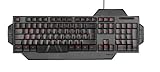 Speedlink RAPAX Gaming Keyboard - USB Gaming Tastatur, kompakte Bauform, höhenverstellbar, hervorgehobene WASD-Tasten, FR Layout, schw