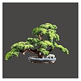 hanxiaoyishop Bonsai 20 Zoll hohe künstliche Kiefer Bonsai, Simulation Bonsai Begrüßungskiefer Ornamente, gefälschte Topfpflanzen für Restaurants Tee Zimmer Bonsai B