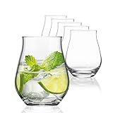 SAHM Sensorik Gin Gläser Set 6 Stück | 420ml Sensorik Gin Tonic Gläser | Tolles Gin Geschenk