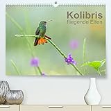 Kolibris - fliegende Elfen (Premium, hochwertiger DIN A2 Wandkalender 2022, Kunstdruck in Hochglanz)