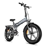 Docrooup DS2 Elektro Klapprad eBike für Erwachsene - e Bike Removable Battery 20Zoll 48V/12AH Lithium Akku Fat Tires 4.0 Faltbares eBike für Damen und Herren[EU-Warenlager] (Grau)