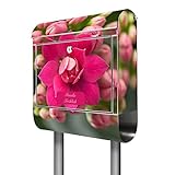 banjado® Edelstahl Standbriefkasten personalisiert Motiv Flammendes Käthchen - Designer Mailbox freistehend mit Zeitung