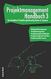 Projektmanagement Handbuch 3 - Verschiedene Projekte gleichzeitig leiten & steuern. Multiprojektmanagement. Portfoliomanagement. ... Projekte p