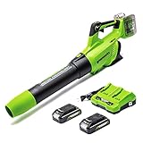 Greenworks Axial Akku-Laubbläser GD24X2BVK2X (Li-Ion 48V 225km/h Luftgeschwindigkeit leistungsstarkes Axialgebläse elektronische Drehzahlregelung mit 2x2Ah Akku und Doppelsteckplatz-Ladegerät)