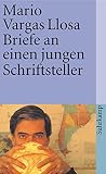 Briefe an einen jungen Schriftsteller: Wie man Romane schreibt (suhrkamp taschenbuch)