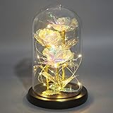Fasola Ewige Rose Im Glas, Galaxy Belle Rose In Glaskuppel mit LED-Lampe für Mama, Freundin, Frauen im Geburtstag, Valentinstag, Muttertag, Erntedankfest, W