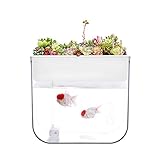 DALIZHAI777 Aquarium Persönlichkeit Kreative Kunststoff Fisch Zylinder Aquarium Home Wohnzimmer Schlafzimmer Büro Aquarium Kit Fischg