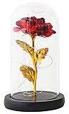 Schöne und Das Biest Rose, ZoneYan Ewige Rose im Glas, Glaskuppel Künstlich Rose Lampe, Für Hauptdekoration oder Geburtstag, Hochzeit, Valentinstag, Muttertag, Jub