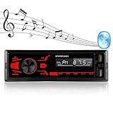 Autoradio, Bluetooth-Freisprecheinrichtung, mit LCD-Anzeige, Unterstützung von USB/TF/AUX / MP3 / Dual-USB/Knopf Auto-Audio-Multimedia-Player, USB-Schnellladung