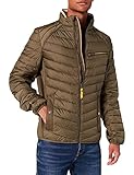 TOM TAILOR Herren 1026341 Hybrid Steppjacke, 13050-Olive Night Green, XXL